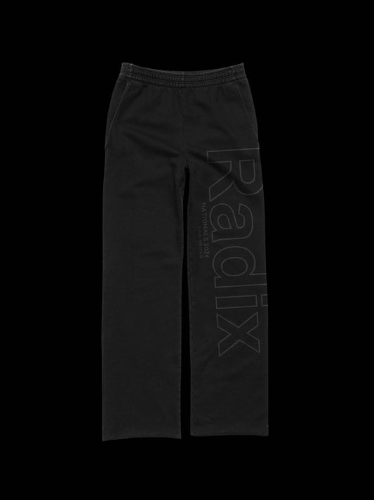 Radix Nationals Sweatpants